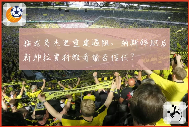 猛龙乌杰里重建遇阻，纳斯辞职后新帅拉贾科维奇能否信任？