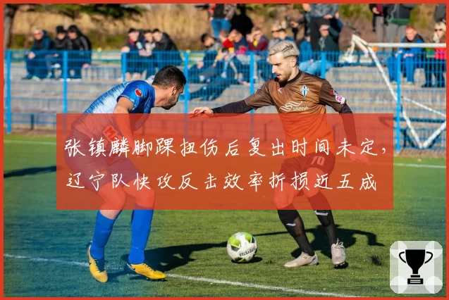 张镇麟脚踝扭伤后复出时间未定,辽宁队快攻反击效率折损近五成